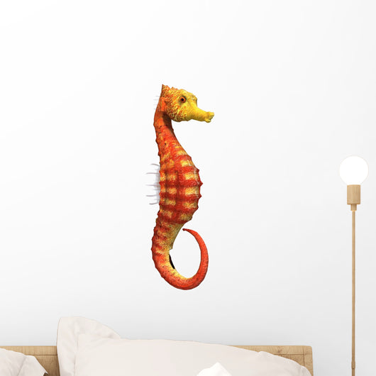 Seahorse