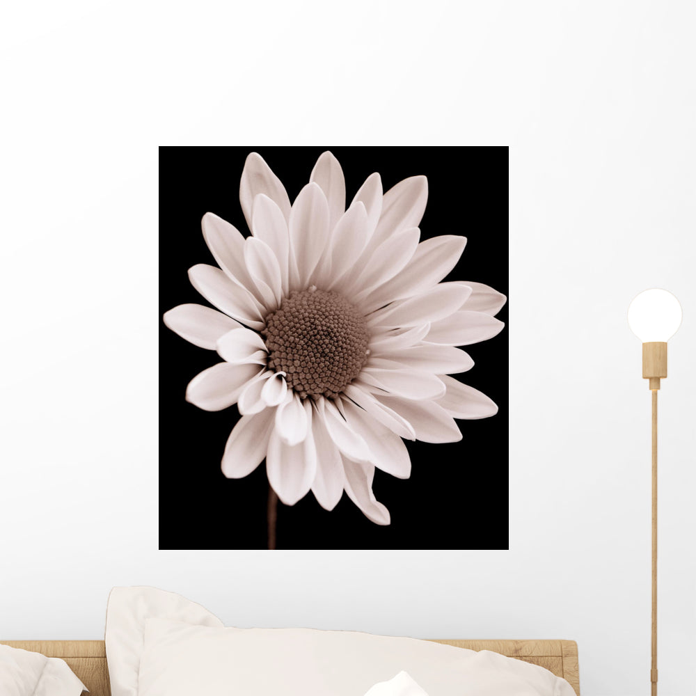 Daisy Wall Mural – Wallmonkeys