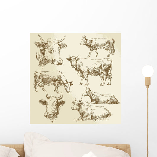 hand drawn cows Wall Decal