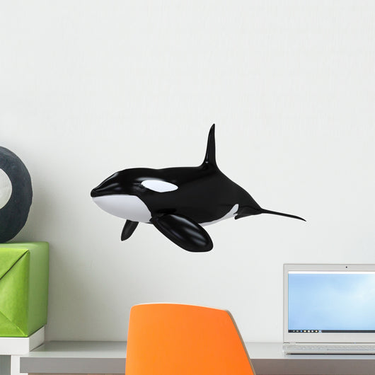 Killer Whale