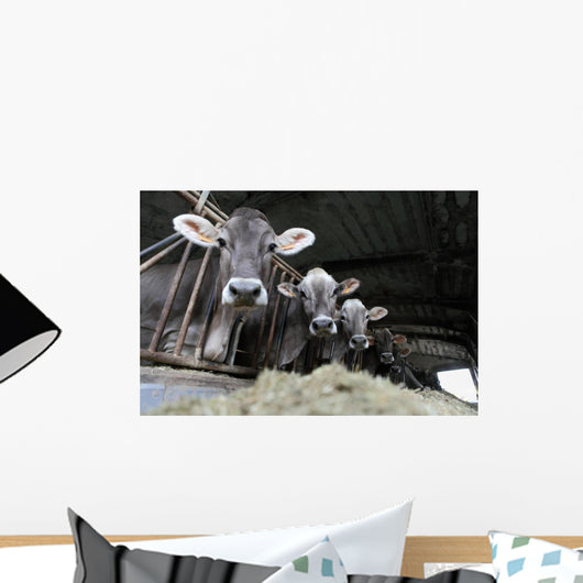 Cows Farm Wall Decal