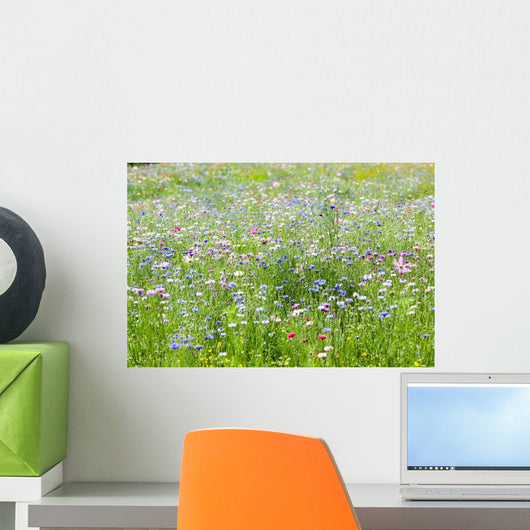 Flower Meadow