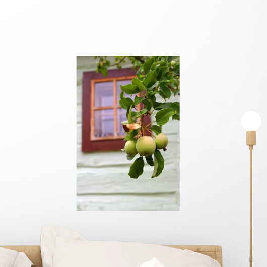 Apple Tree Wall Decal