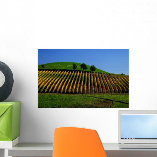 Chianti Wall Decal