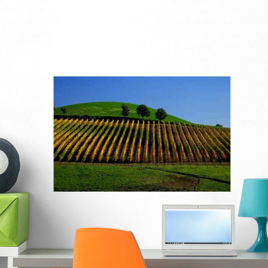 Chianti Wall Decal
