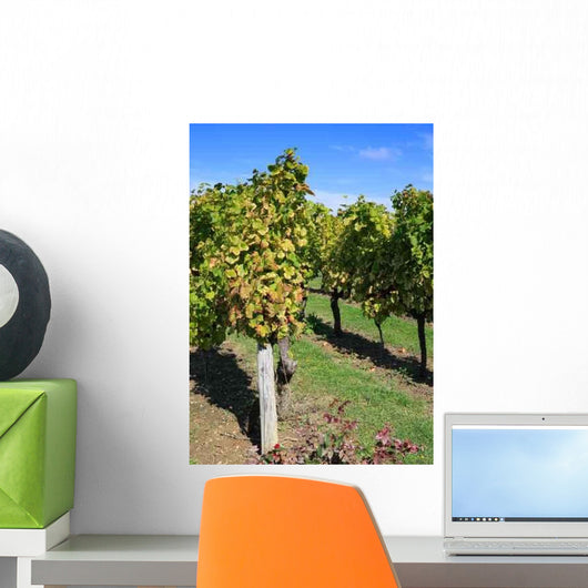 Vineyard Wall Decal