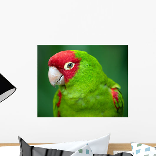 Portrait Red and Green Wall Decal