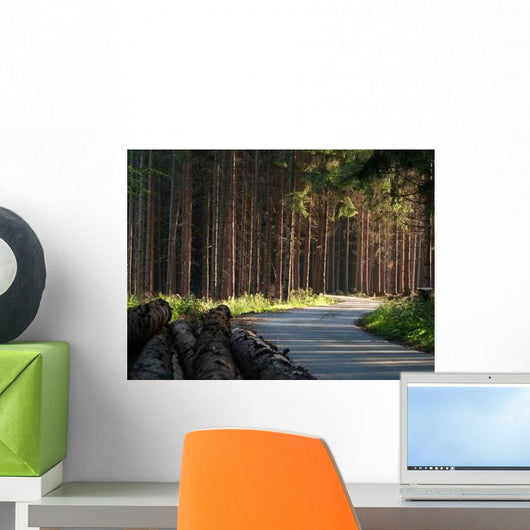 Forest Road Wall Decal