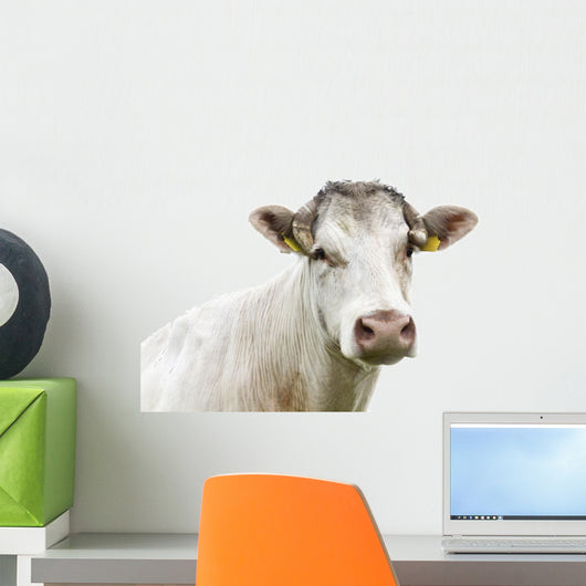 Funny Cow Head Portrait