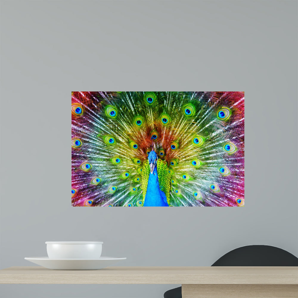 画材 Peacockesque Absolutely Chic Light Blue/Green Vinyl Non-Woven Non-Pasted
