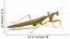 Side View of Brown and Green Praying Mantis Wall Decal