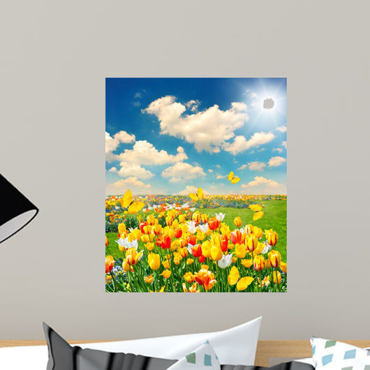 Tulip Flowers Field with