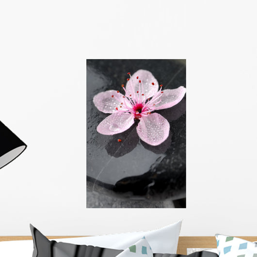 Zen Cherry Blossom Wall Mural