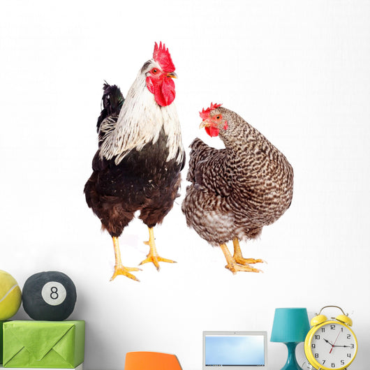 Rooster and Chicken on White Background Wall Decal