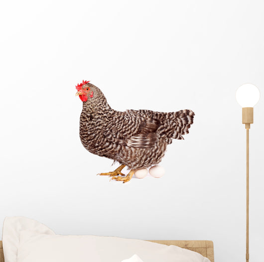 Speckled Chicken with Eggs Wall Decal