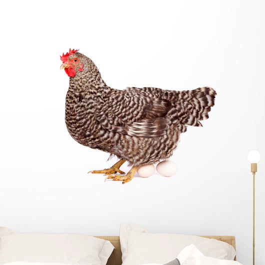 Speckled Chicken with Eggs Wall Decal