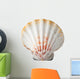 Sea Shell