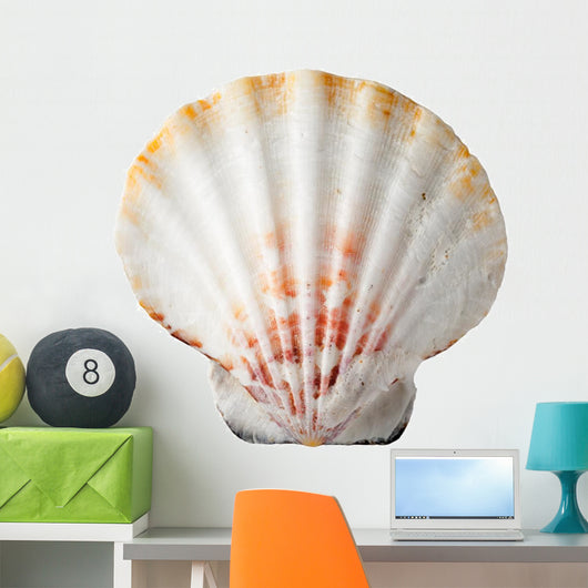 Sea Shell
