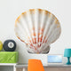 Sea Shell