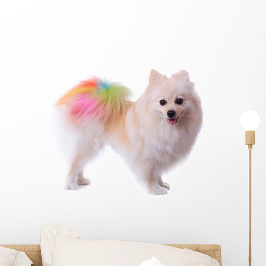 Pomeranian Dog Grooming Colorful Tail Wall Decal