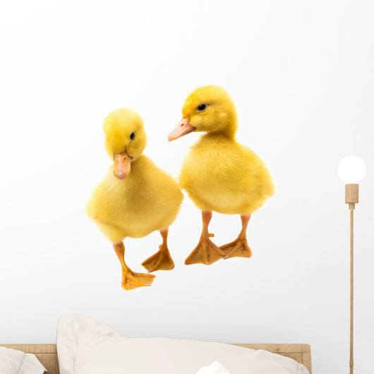 Little Ducklings Wall Decal