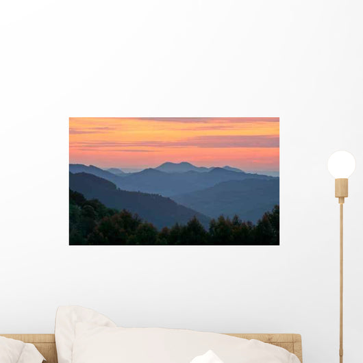 Sunset over Fog Wall Decal