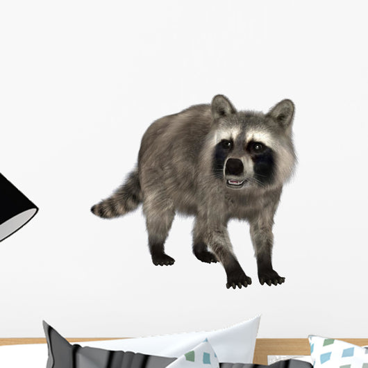 Raccoon Wall Decal