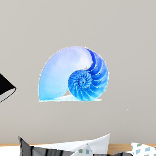 Nautilus Shell and Famous