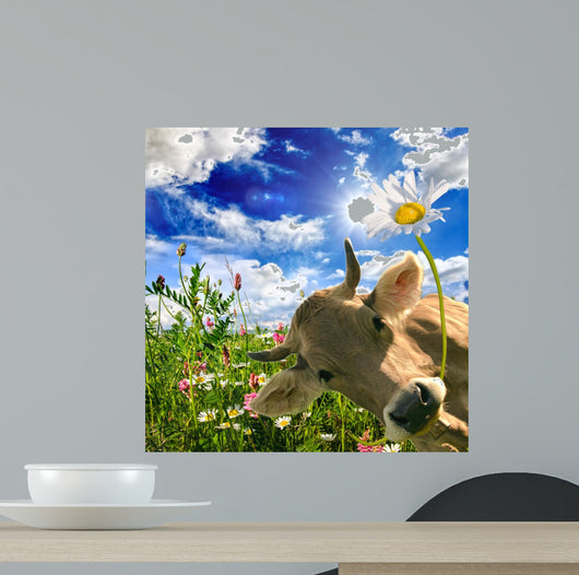 Happy birthday: Cow gives a flower :) Wall Mural