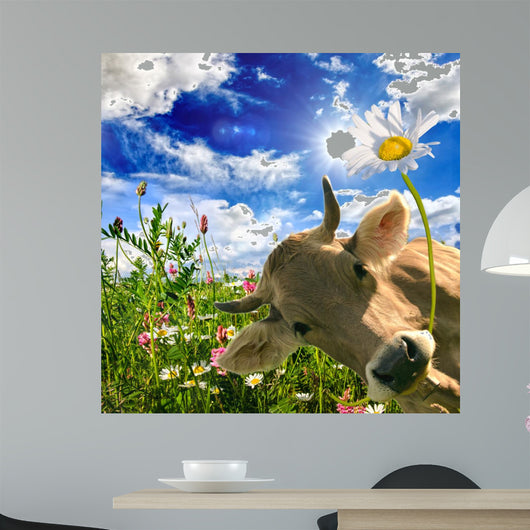 Happy birthday: Cow gives a flower :) Wall Mural