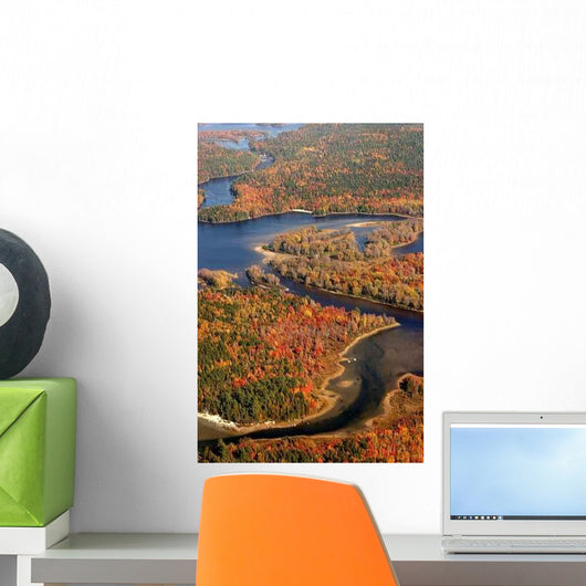 Aerial Fall Forest and River New Wall Decal