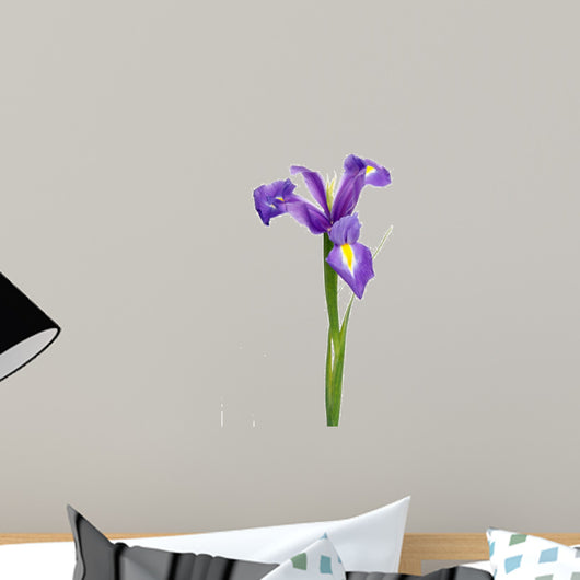 Iris