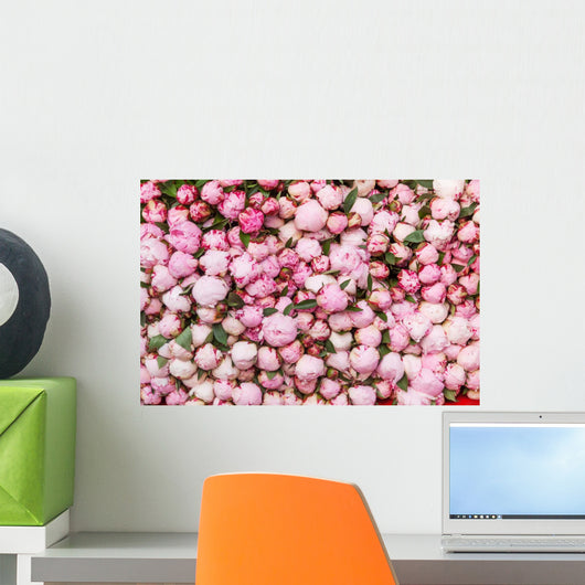 Peony Flowers