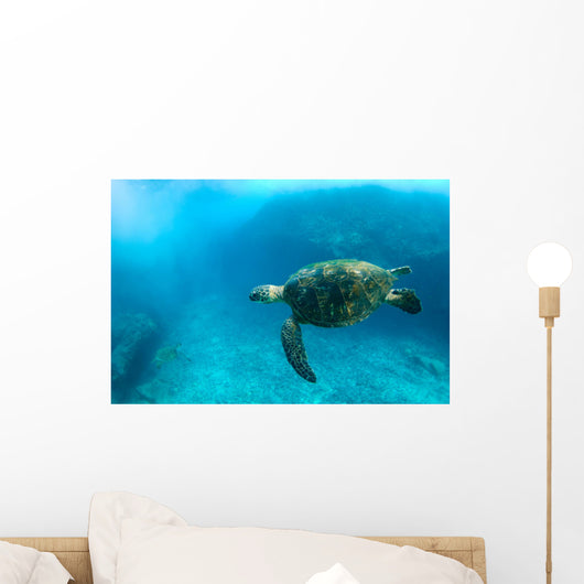 Endangered Sea Turtle Wall Mural