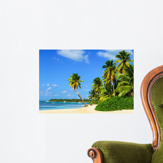 Paradise Beach with Palm