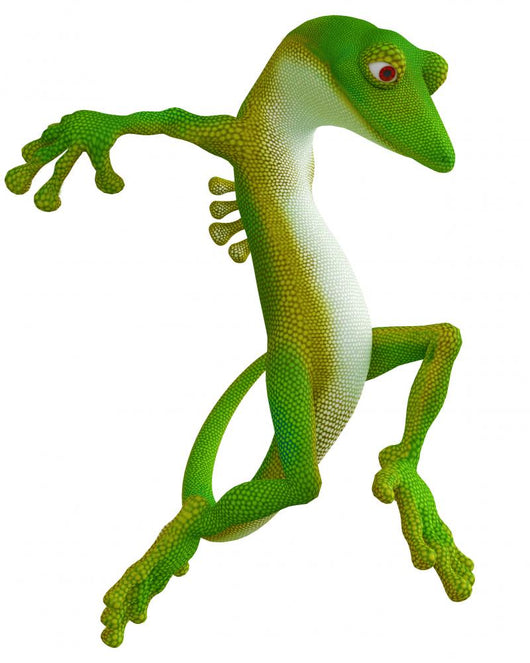 Gecko Jumping