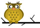 Little Cute Owl Sitting