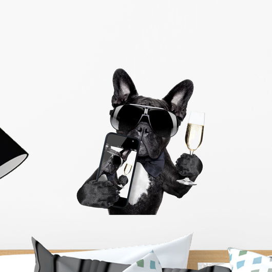 French Bulldog Selfie