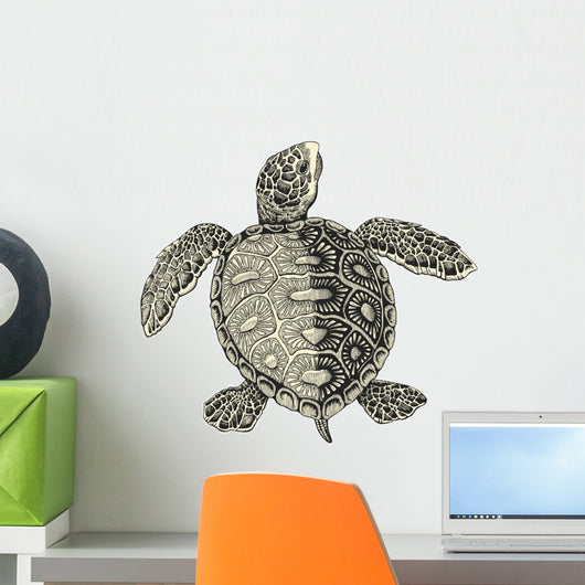 Sea Turtle