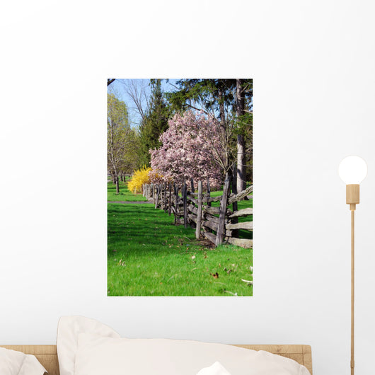 spring landscape Wall Mural