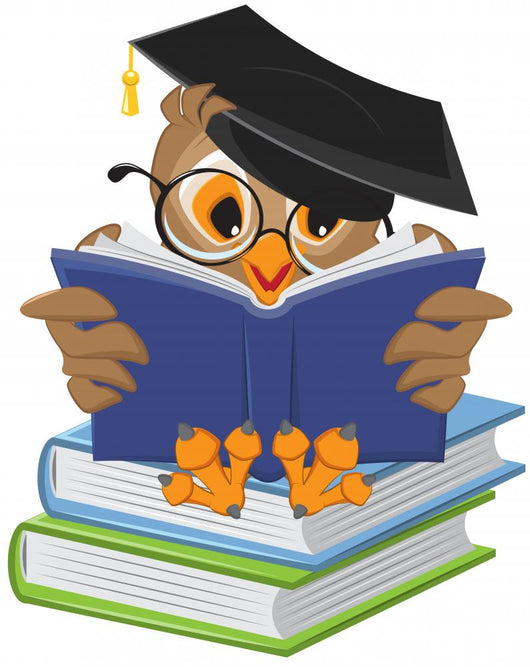 Wise owl reading book Wall Decal