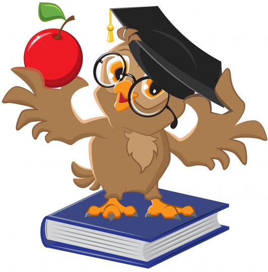 Owl holding an apple Wall Decal