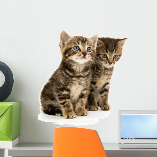 Two Tabby Kittens Wall Decal
