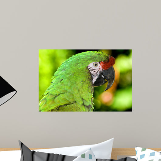 Loro3493 Wall Decal