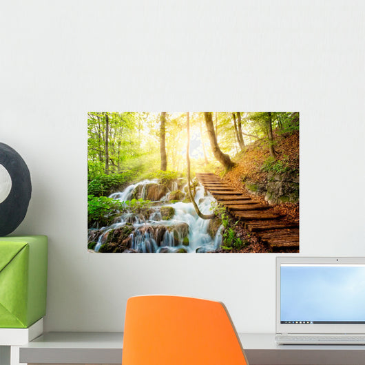 Deep Forest Stream with