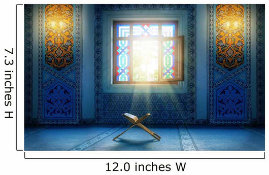Under Daylight from Window