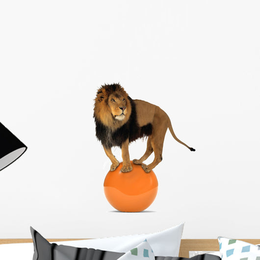 Lion Balancing Big Ball
