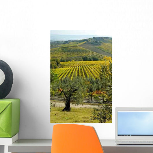 Chianti Italy Landscape Wall Decal