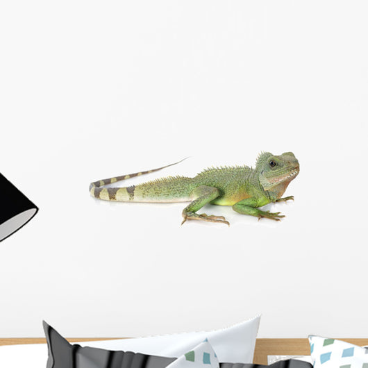 Chinese Water Dragon Wall Decal