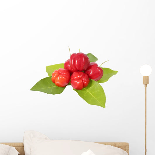 Acerola Fruit and Leaf